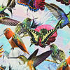 Pieni lisäkuva, jossa Trikoo digiprint kolibrit ja perhoset