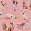 Pieni lisäkuva, jossa Trikoo digiprint kissanpentuja pinkillä
