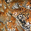 Pieni lisäkuva, jossa Pala 0,43m: Trikoo digiprint leopardit