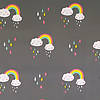 Pieni lisäkuva, jossa Pala 0,5m: Softshell sadepilvet ja satenkaari