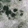 Pieni lisäkuva, jossa Pala 3 raporttia: Luomutrikoo (digiprint) Kuu