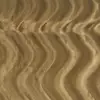 Pieni lisäkuva, jossa Velboaturkis aaltokuviolla - Kullanruskea